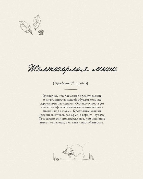 Lesnye_zhiteli_K_Garland_page-0033 (560x700, 135Kb)