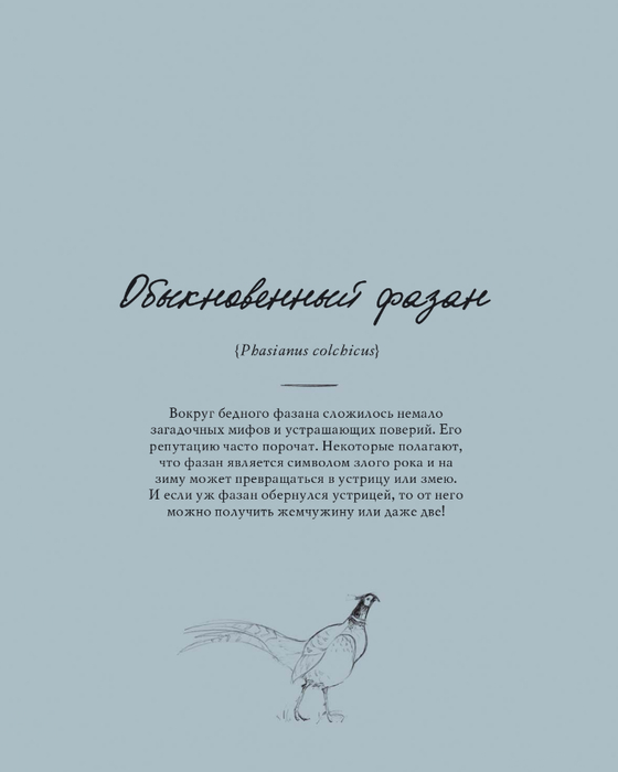 Lesnye_zhiteli_K_Garland_page-0041 (560x700, 94Kb)