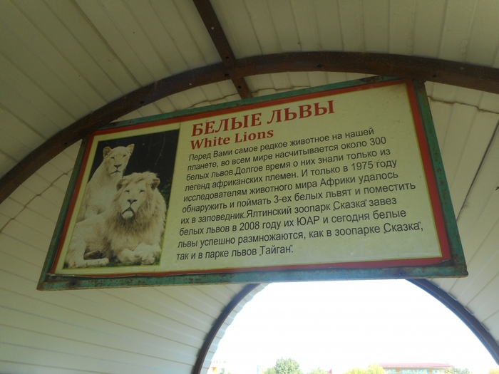 4752699_DSCN0054tag (700x525, 239Kb)