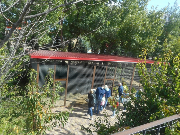 4752699_DSCN0061tag (700x525, 398Kb)