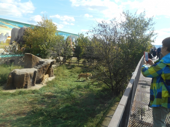 4752699_DSCN0076tag (700x525, 330Kb)