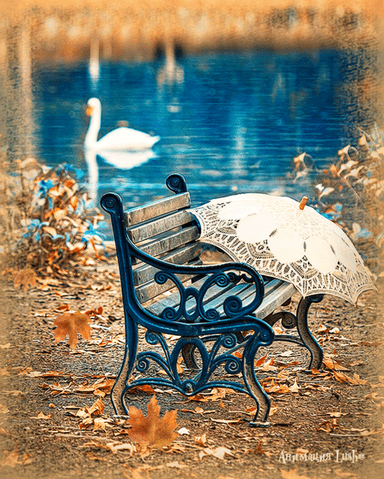3416556_5c70352fffca2fcd49ae11cdba9a41aa (560x700, 4015Kb)