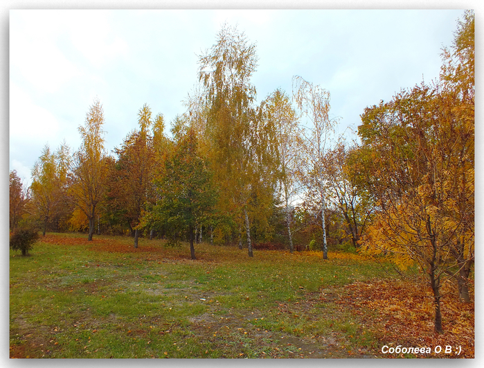 DSCF0079 (700x531, 566Kb)