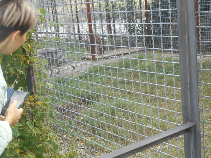 4752699_DSCN0122tag (700x525, 356Kb)