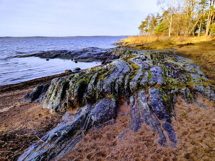 IMG_20241114_123905579_HDR (700x525, 546Kb)