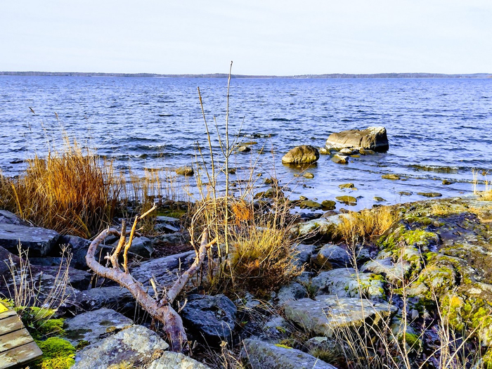 IMG_20241114_123511829_HDR (700x525, 544Kb)