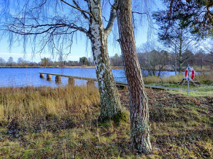 IMG_20241114_125702079_HDR (700x525, 590Kb)