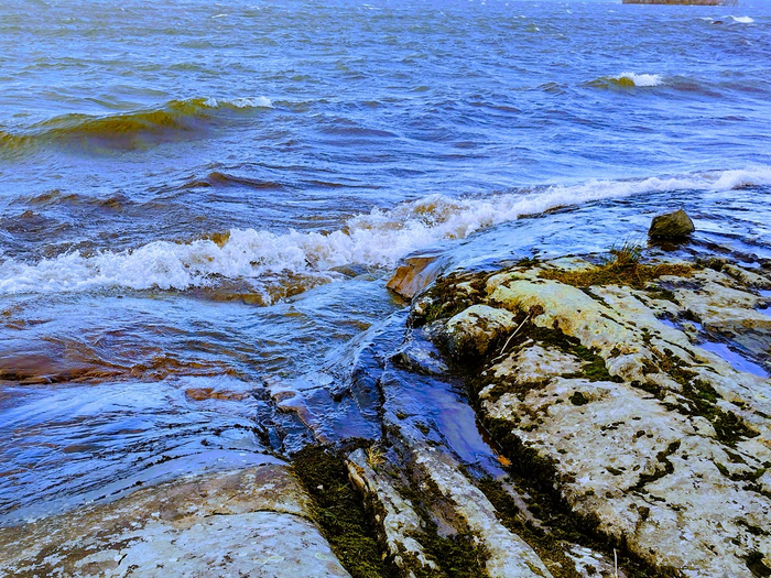 IMG_20241116_123446254_HDR (700x525, 623Kb)