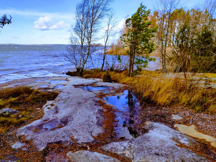 IMG_20241116_123829586_HDR (700x525, 615Kb)