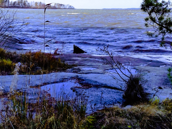 IMG_20241116_124600336_HDR (700x525, 524Kb)