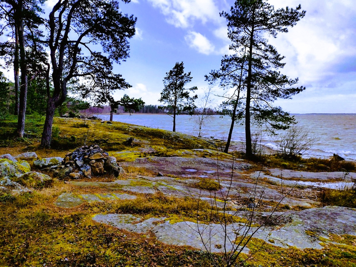 IMG_20241116_124017849_HDR (700x525, 620Kb)