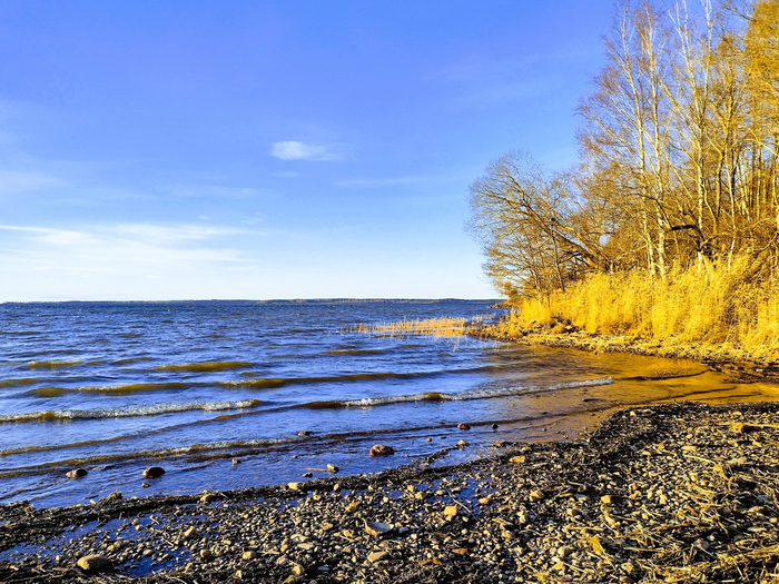 IMG_20241118_140839428_HDR (700x525, 538Kb)
