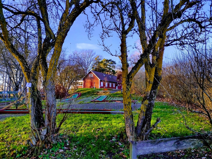 IMG_20241118_141943855_HDR (700x525, 641Kb)