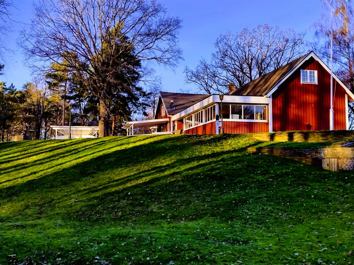 IMG_20241118_142203470_HDR (700x525, 590Kb)