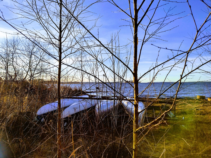 IMG_20241118_142956835_HDR (700x525, 595Kb)