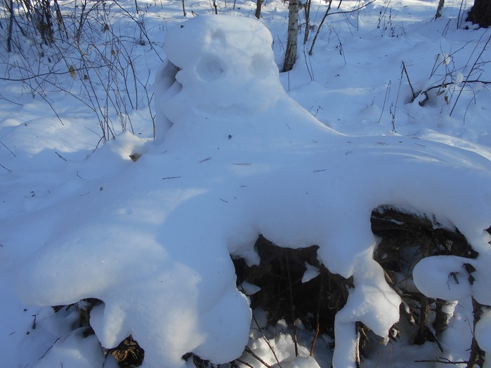 4533467_DSCN6625 (700x524, 105Kb)