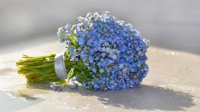 158815939_nezabudki_dlya_tebya (699x390, 53Kb)