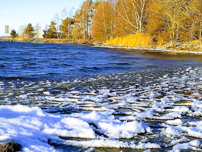 IMG_20241122_132756678 (700x525, 643Kb)