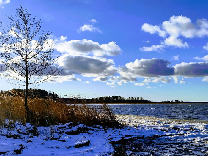 IMG_20241122_132558714_HDR (700x525, 479Kb)
