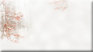 - (300x169, 5Kb)