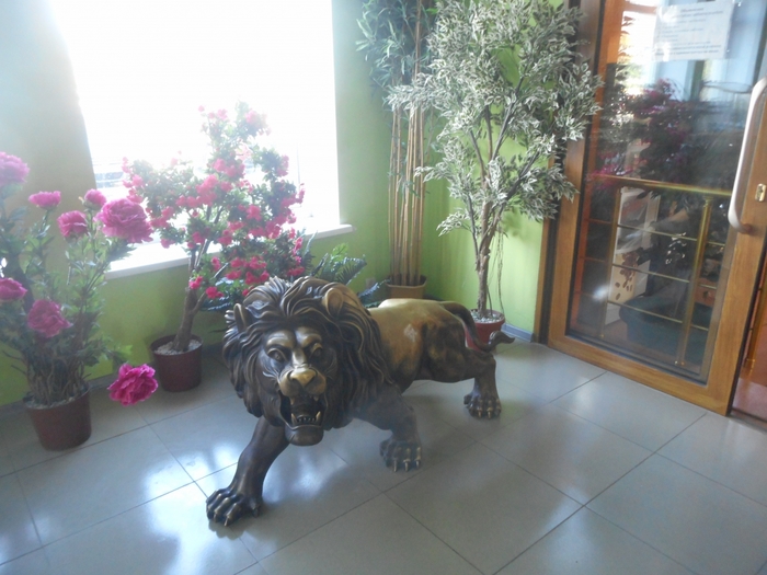 4752699_DSCN9988tag (700x525, 250Kb)