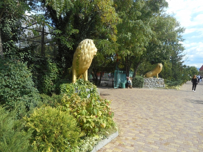 4752699_DSCN0562tag (700x525, 369Kb)