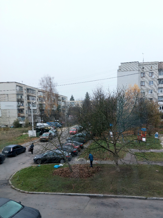 1000065626 (525x700, 386Kb)