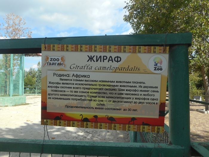 4752699_DSCN0366tag (700x525, 303Kb)