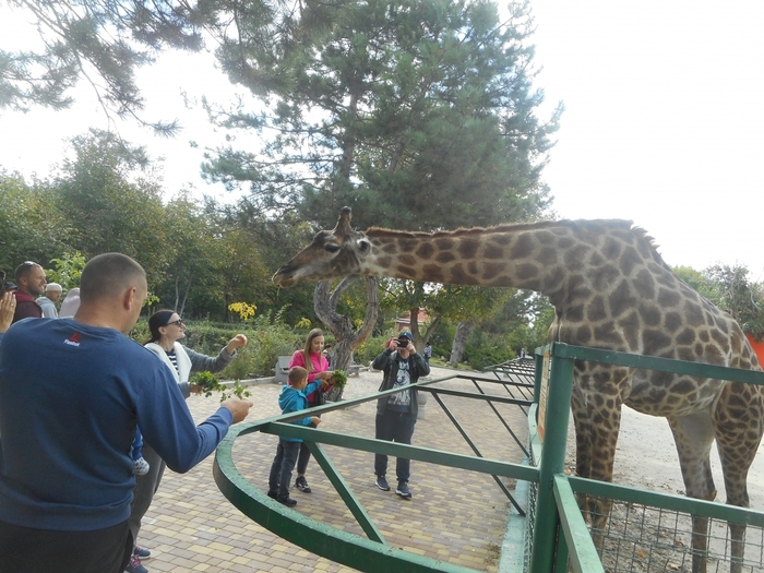 4752699_DSCN0379tag (700x525, 299Kb)