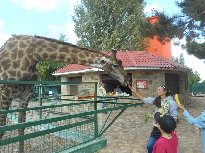 4752699_DSCN0406tag (700x525, 327Kb)