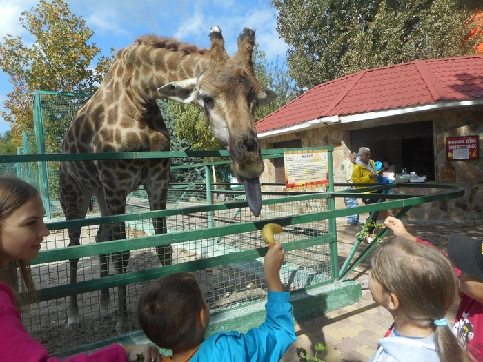 4752699_DSCN0398tag (700x525, 347Kb)