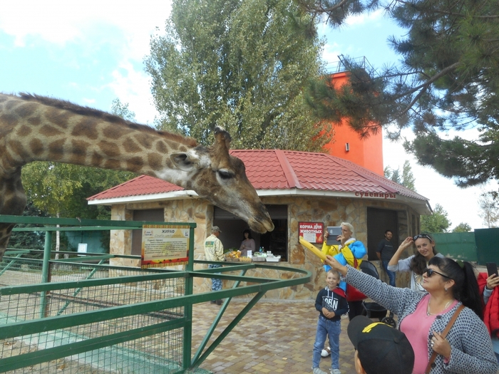 4752699_DSCN0403tag (700x525, 328Kb)