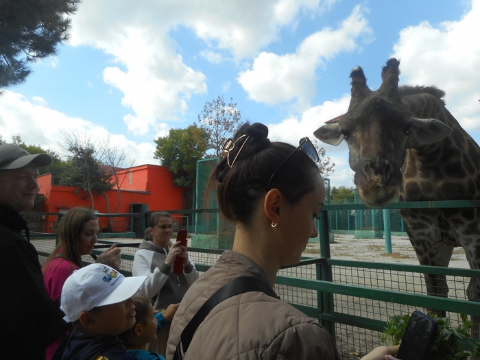 4752699_DSCN0383tag (700x525, 255Kb)