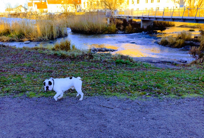 IMG_20241203_133054848 (700x474, 503Kb)