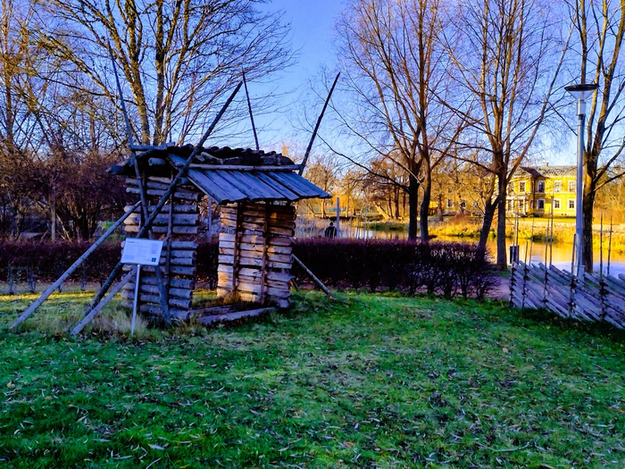 IMG_20241203_133235023_HDR (700x525, 632Kb)