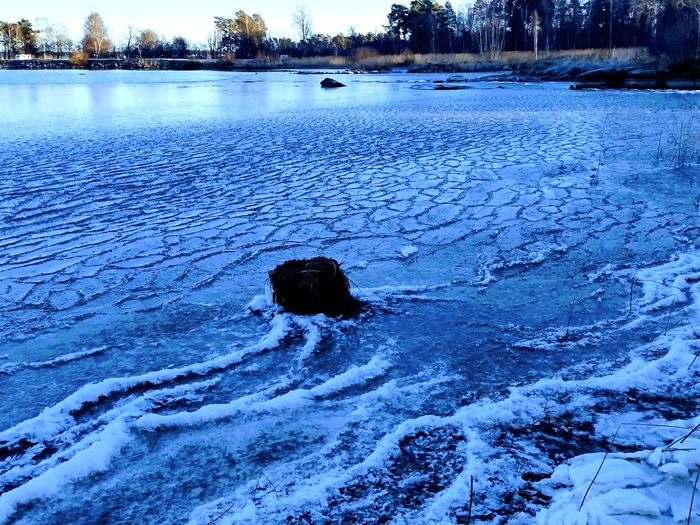 IMG_20241204_132434972_HDR (700x525, 569Kb)
