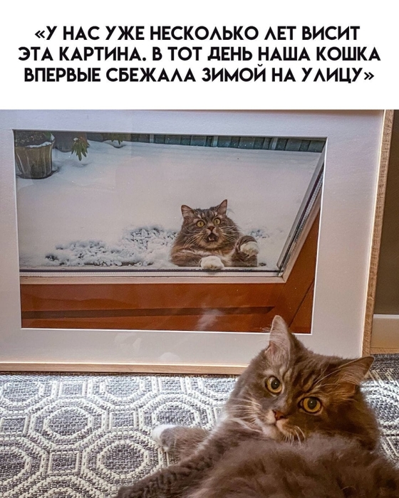 3416556_469481662_1290533762365581_6648236143066465311_n (560x700, 275Kb)