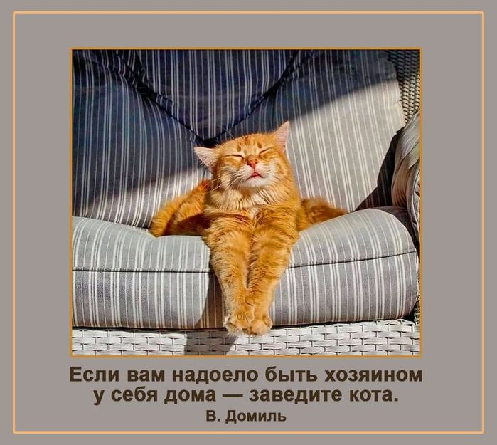 3416556_953e55af32140fc085bc12ace0689d5b (700x625, 74Kb)