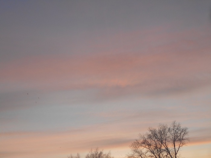 4533467_DSCN6976 (700x524, 44Kb)