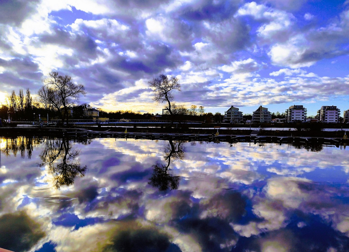IMG_20241214_133850683_HDR (700x505, 433Kb)
