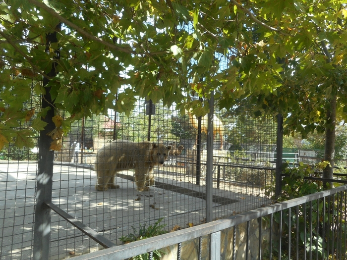 4752699_DSCN0469tag (700x525, 364Kb)