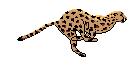 14 (140x60, 6Kb)