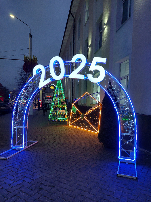 20241227_170118 (525x700, 538Kb)