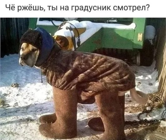 zRLzRPoSxn24C2ee36_fwhVK7Q_DZvRIeUgXwuhAjwTJYPcHpkntNbK1WrcR55IP-jpi9cnZqkS_-Ojdcpmgu3tB (533x450, 154Kb)