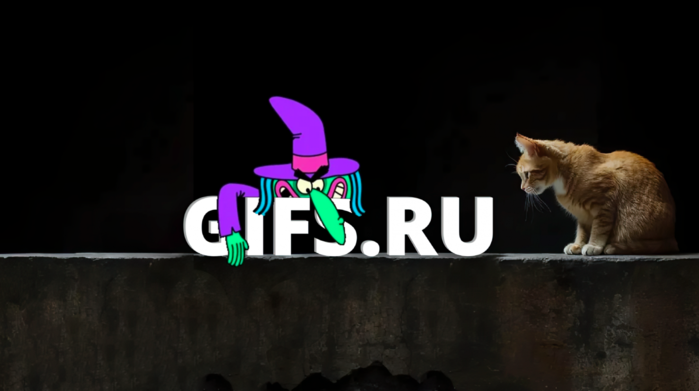    GIF-  Gifs.ru:      /