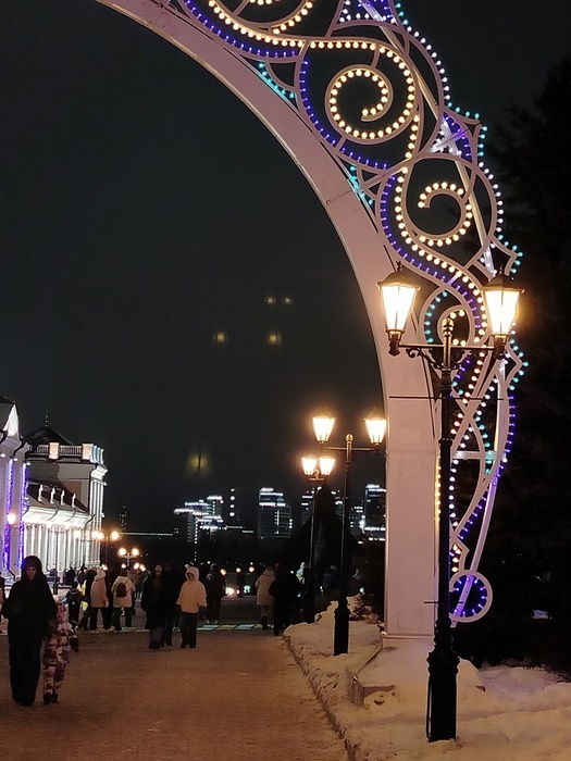 IMG20250102165049 (525x700, 133Kb)