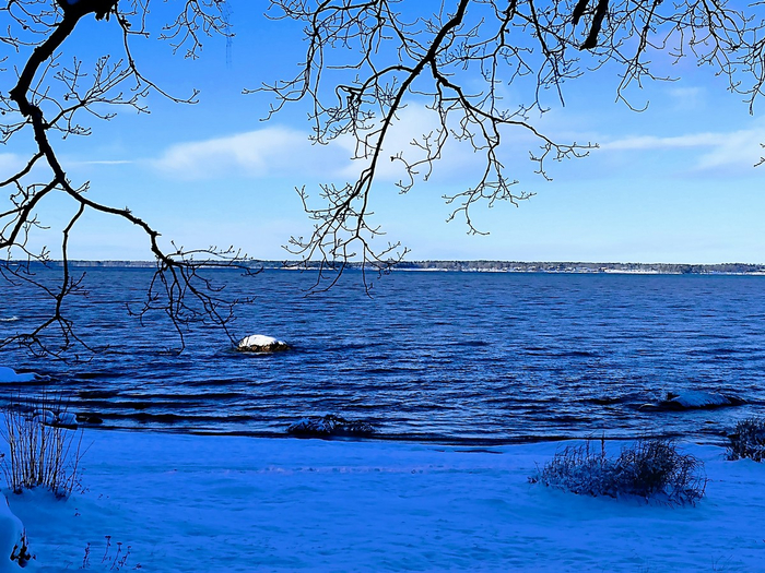 IMG_20250102_121124745 (700x525, 555Kb)