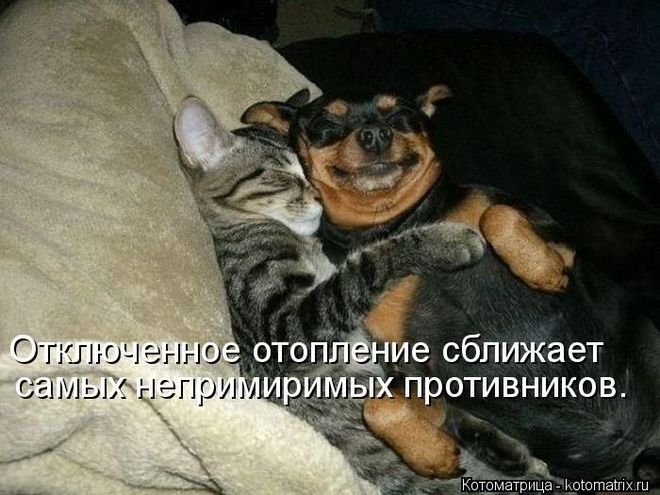 120835771_sblizhaet (660x495, 179Kb)