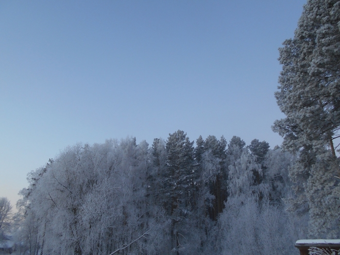 4533467_DSCN70821 (700x525, 233Kb)