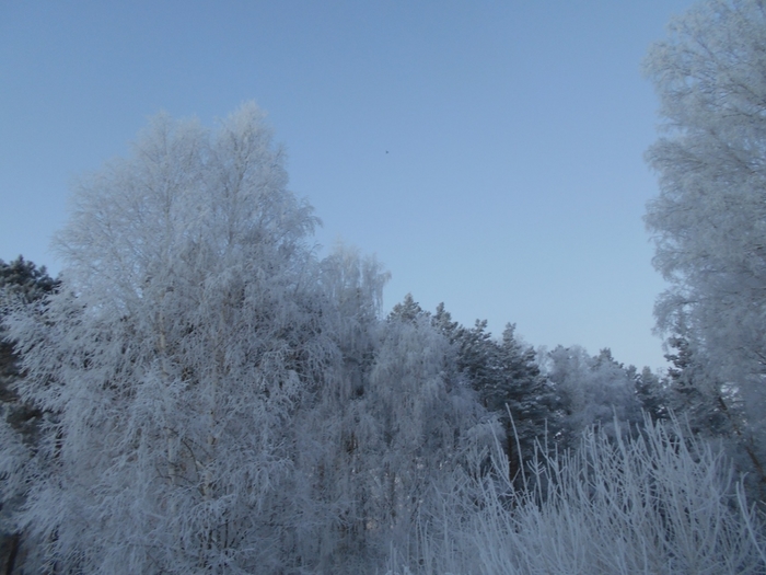 4533467_DSCN70861 (700x525, 234Kb)